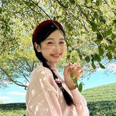 芝士火腿